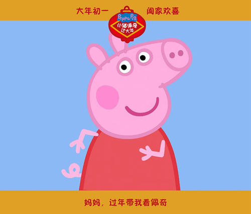 怎么办假美国佛罗里达州驾驶